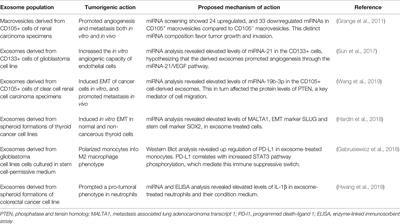 Cancer Stem Cell-Exosomes, Unexposed Player in Tumorigenicity